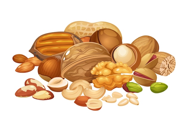 Verschillende notencollectie omvat cashewnoten macadamia brazilnoot pecan hazelnot pinda