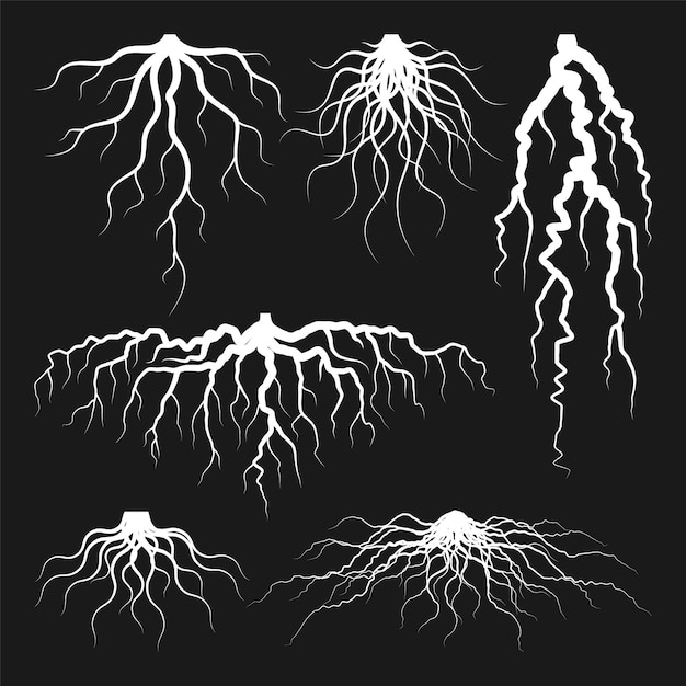 Verschillende realistische wortels van bomen of struiken delen van het wortelsysteem van planten met dendrologische studie van boomstompen