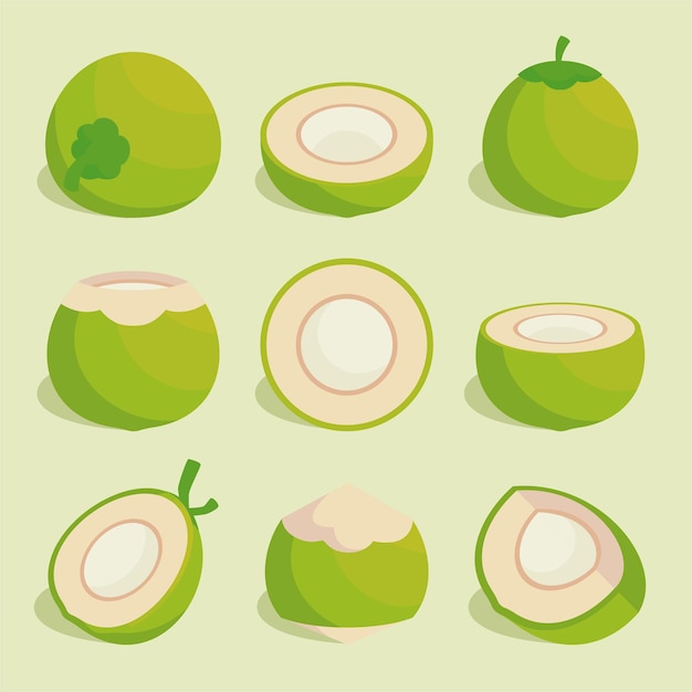 verschillende set fruit platte kokosnoot exotische natuurlijke dessert cartoon geïsoleerd