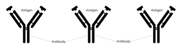 Vector verschillende soorten antigenen en verschillende soorten antilichamen menselijke immuniteit vecht tegen virussen