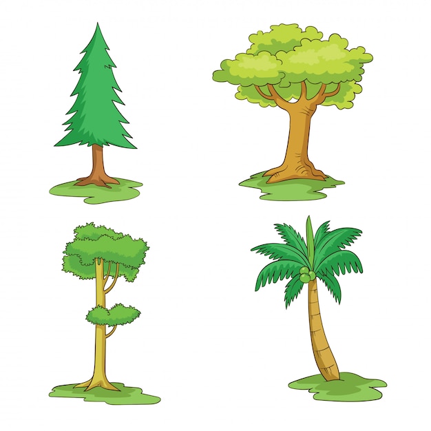 verschillende soorten bomen