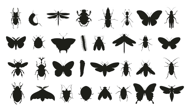 Vector verschillende soorten insecten silhouetten premium vectorsjablonen