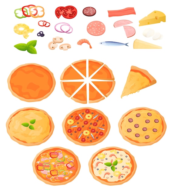 Verschillende soorten pizza bovenaanzicht. Ingrediënten voor pizza, cake. Pizza is in stukjes verdeeld. Kleurrijke illustratie in platte cartoon stijl.