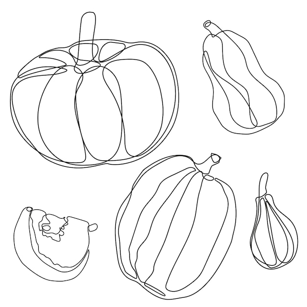 Vector verschillende soorten pompoenen lijntekeningen set
