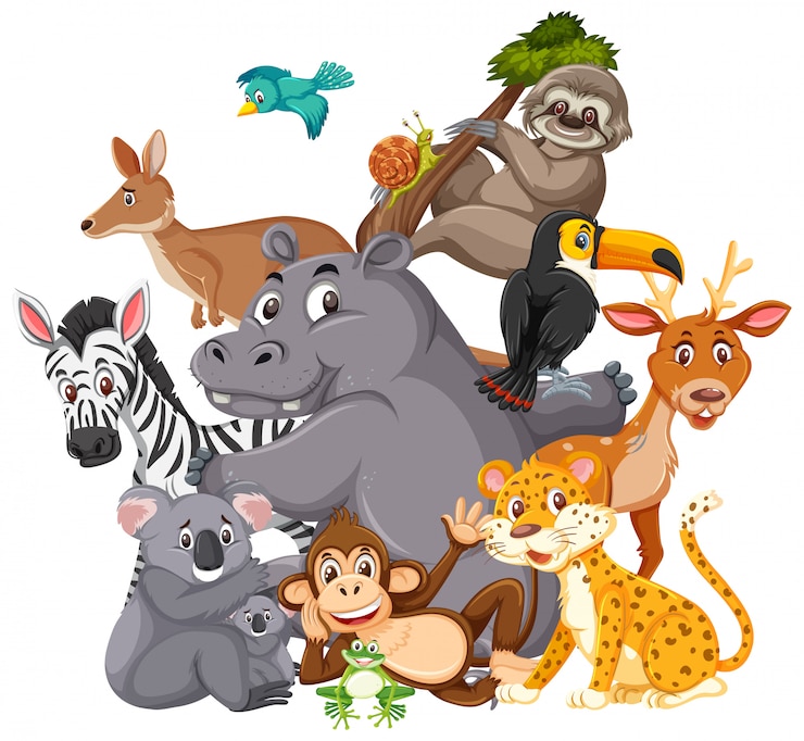 Vector verschillende soorten wilde dieren