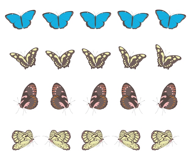 Verschillende tropische vlinders clipart op rijen