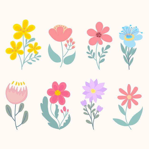 Vector verschillende wilde bloemen vector illustraties set verzameling van weide of veld bloemen