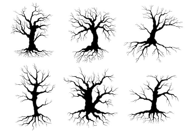 Verschillende zwarte bladloze bladverliezende winter boom silhouetten met wortels, geïsoleerd op wit