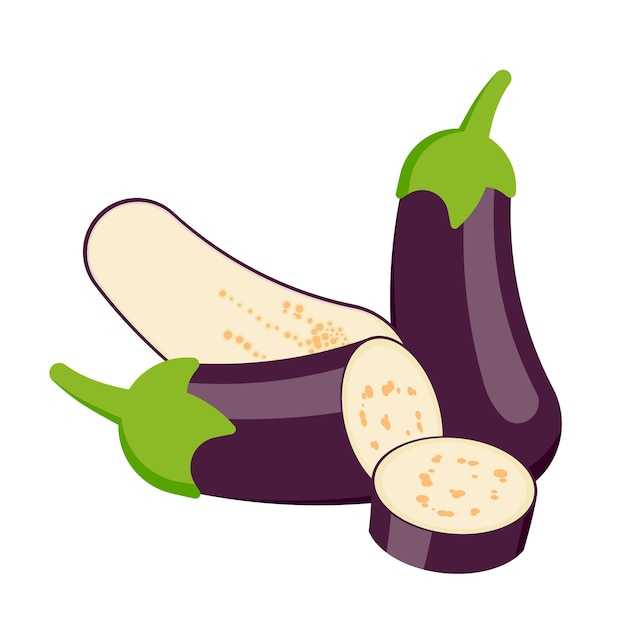 Verse Aubergine groente geïsoleerd op een witte achtergrond Vector illustratie