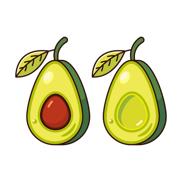 Verse avocado illustratie