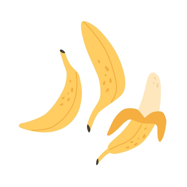 Verse bananen. Exotisch en tropisch fruit. Gezond eten. Vectorillustratie in vlakke stijl