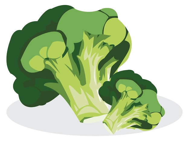 Verse broccoli geïsoleerd op witte achtergrond