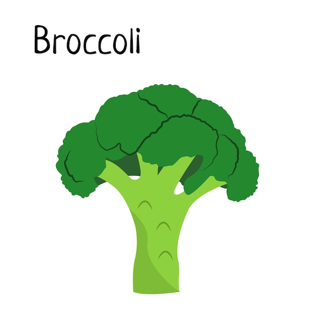 Verse Broccolivector