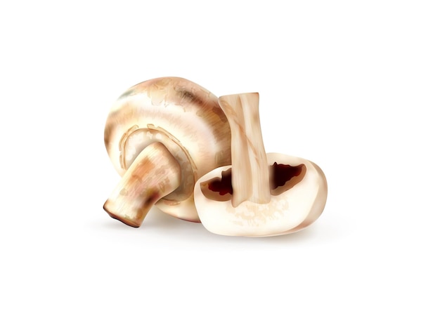 Verse champignons geheel en gesneden geïsoleerd op witte achtergrond 3D-vectorillustratie
