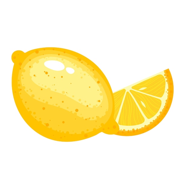 Verse citrusvruchten gele citroen segment geïsoleerd op witte vector illustratie biologische natuurvoeding gesneden halve en hele gezonde rijpe vruchten