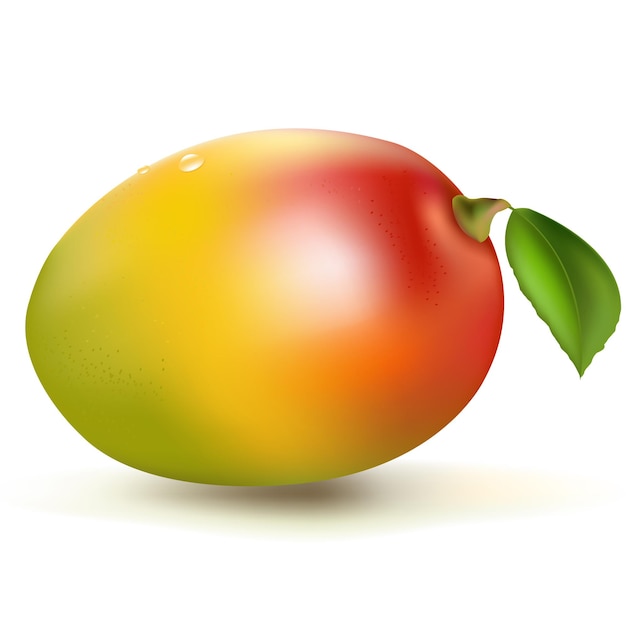 Verse Geïsoleerde Mango