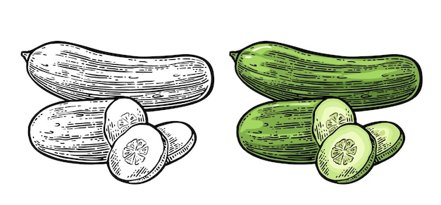 Verse groene komkommers hele halve plakjes