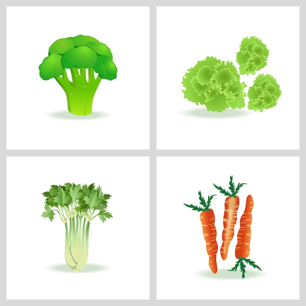 verse groenten broccoli salade wortelen selderij vector illustratie set
