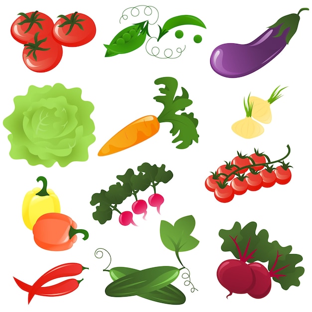 Verse groenten iconen set