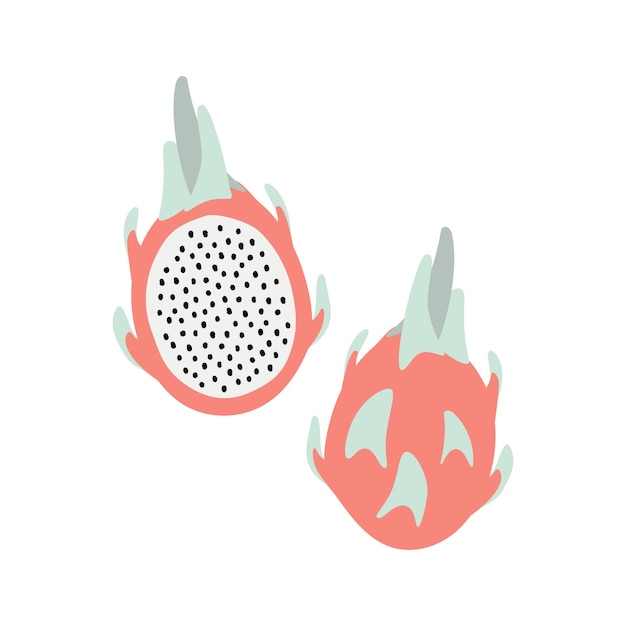 Verse hele en half gesneden roze pitayavruchten geïsoleerd. biologisch fruit in vlakke, eenvoudige stijl. vector