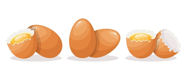 Verse kippeneieren set elementen Bruine eieren hele en gebroken dooier schaal Voedsel illustratie ve