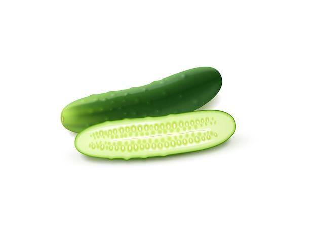 Verse komkommer geïsoleerd op witte achtergrond Rauwe groenten voor salades en snacks