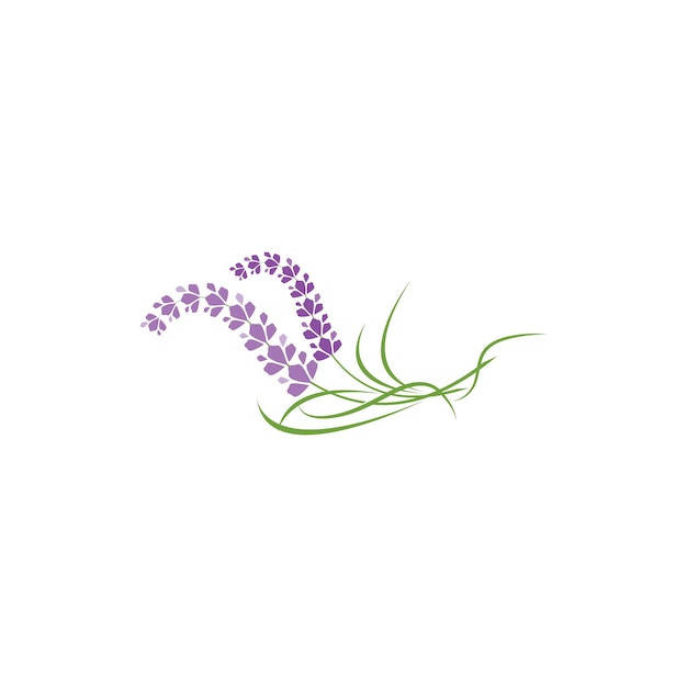 Verse lavendel bloem logo vector