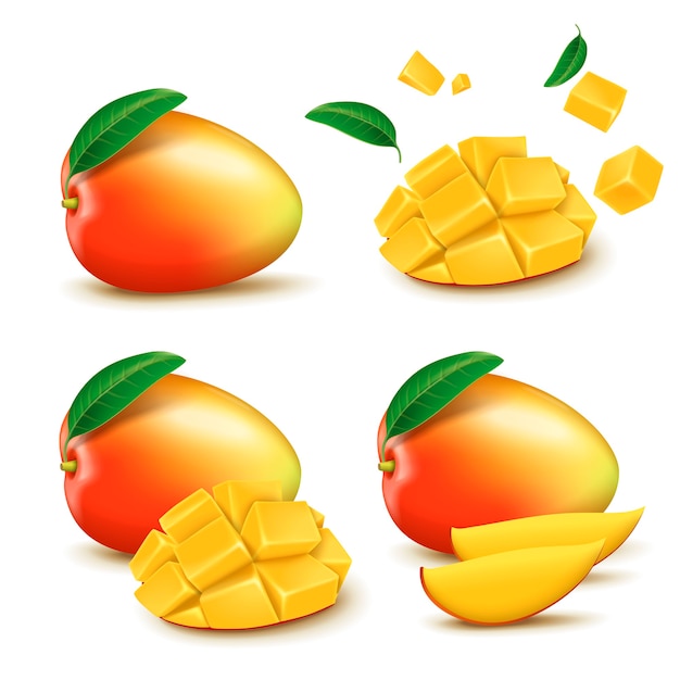 Vector verse mango ontwerpelementen illustratie