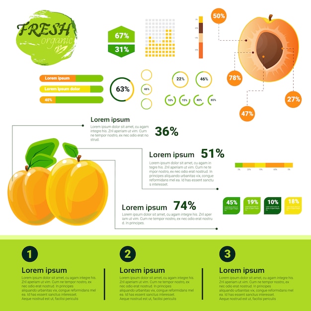Verse organische infographics natuurlijke vruchten groei, landbouw en landbouw
