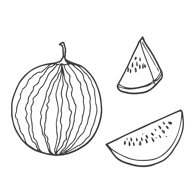 Verse, sappige slises delen van watermeloen fruit in doodle hand getrokken stijl Set van vectorillustratie