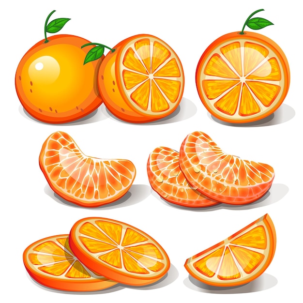 Vector verse sinaasappel, mandarijn, fruit.