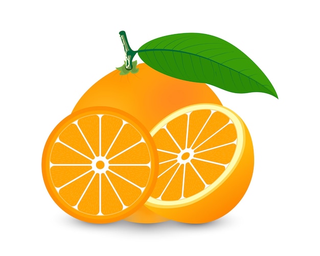 Verse sinaasappel met schijfje sinaasappel met bladeren geïsoleerd op een witte achtergrond Vector fruit design