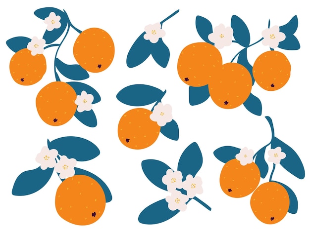 Verse sinaasappelen met de hand getekend set oranje op takken en bloesem eenvoudige illustratie collectie oranje