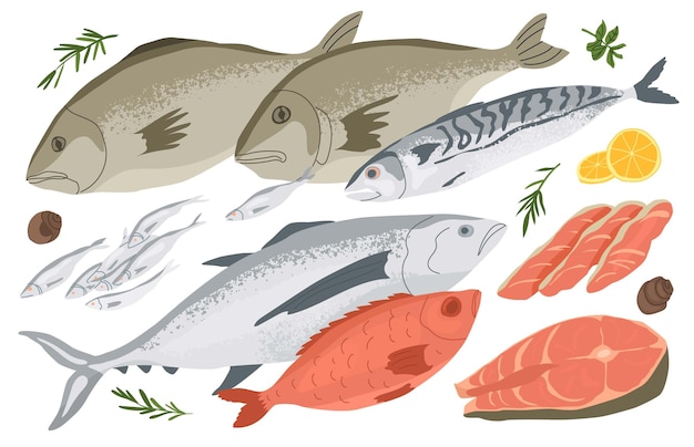 Verse vis Middellandse Zee of Aziatische keuken Set zeevruchten Concept voor visserijbedrijven en voedselmarkten Voedsel rijk aan eiwitten en jodium Vectorillustratie geïsoleerd op witte achtergrond