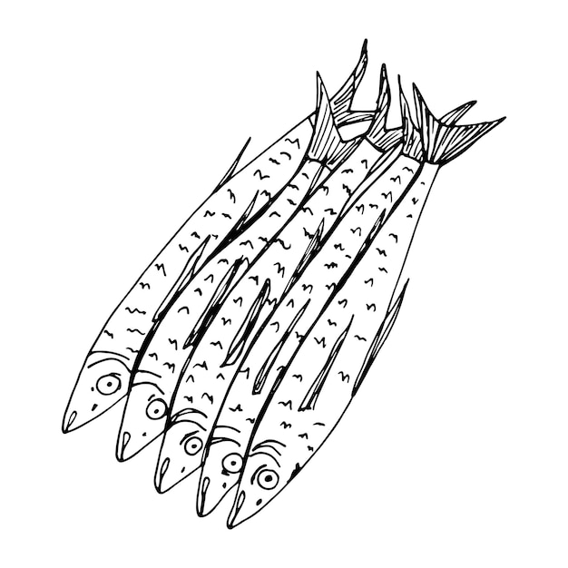 Verse zeevis schets geïsoleerd op een witte achtergrond