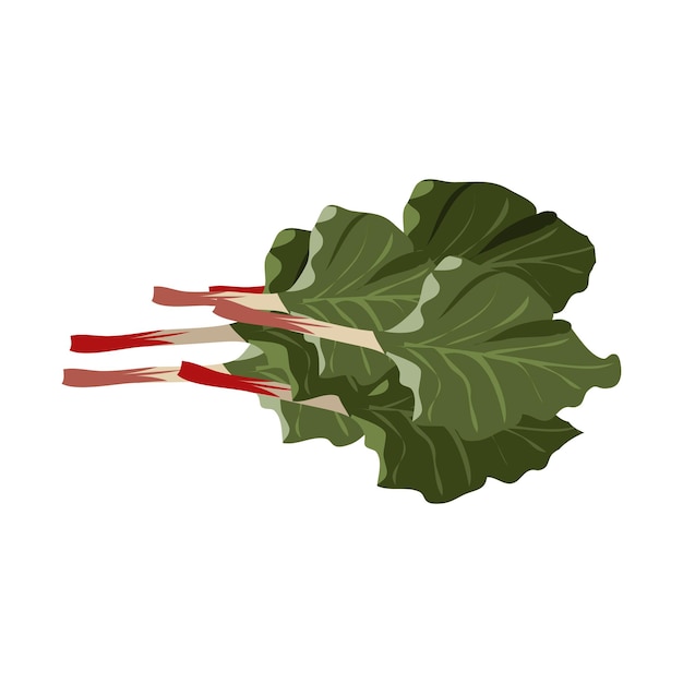 vertaald als Garden rhubarb png