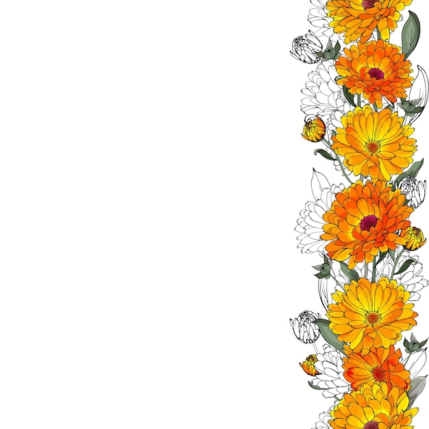 Vector vertical border with yellow flowers calendula.