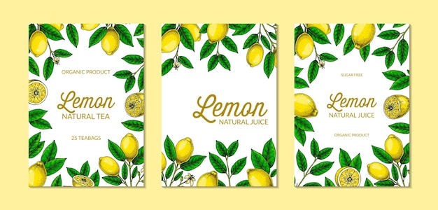 垂直方向のレモンの背景手スケッチ スタイルで描かれたカラフルなベクトル図