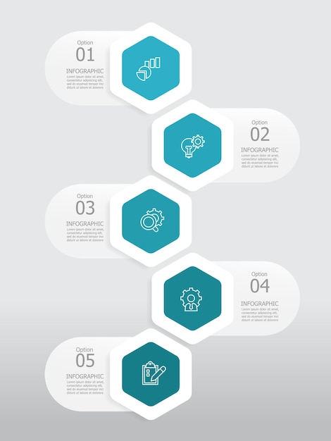 vertical round hexagon steps timeline infographic element report background with business line icon 5 steps