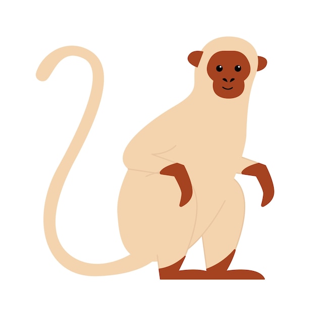 Vector vervet monkey exotic animal vector illustration