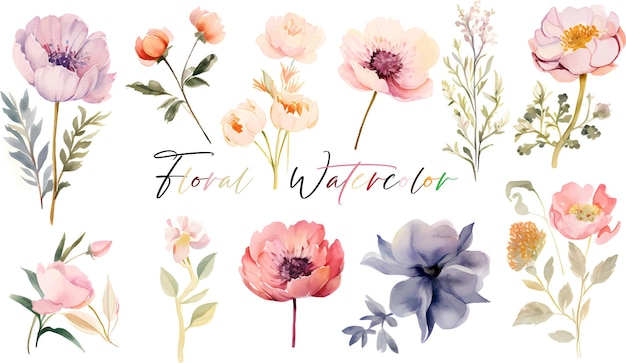 Vector a very beautiful collection of watercolor flowers