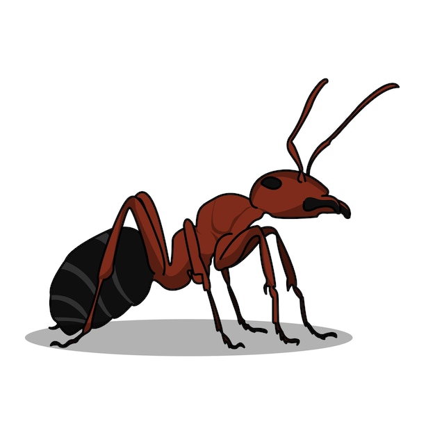 A very detailed, big red ant illustration design