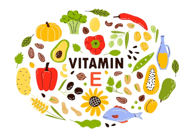 Vector verzamel bronnen van vitamine e fruit en groenten en noten. cartoon platte illustratie geïsoleerd op wit