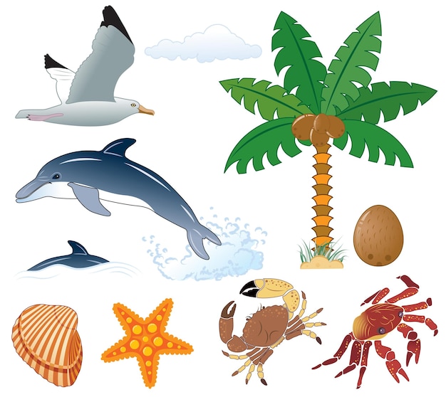 Verzamel element voor ontwerp zomer palmboom kokosnoot dolfijn zeemeeuw krab zeester Vector illustratie