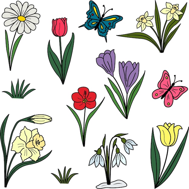Verzameling lentebloemen en vlinders voor kleurboek