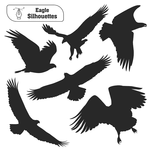 Verzameling van Animal Bird Eagle silhouet in verschillende poses