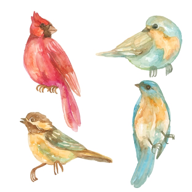 Verzameling van aquarel tropische vogels