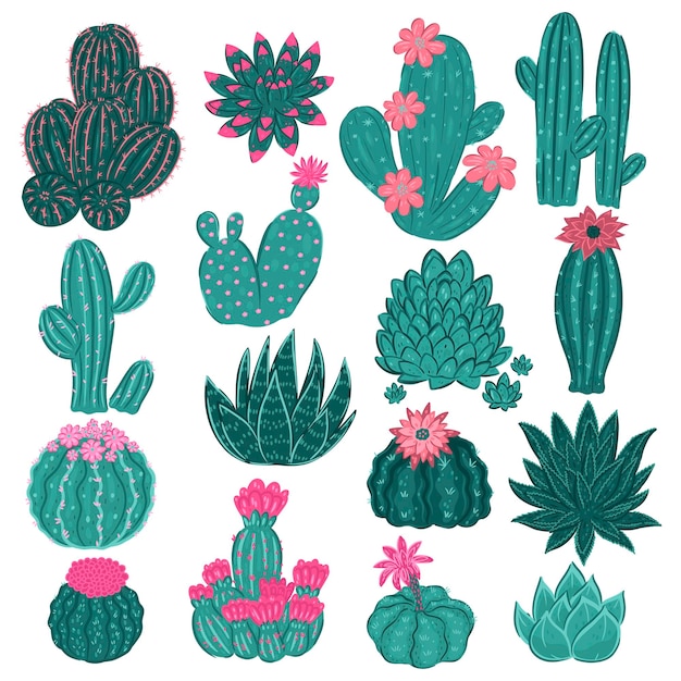 Verzameling van cactussen geïsoleerd op een witte achtergrond vector graphics