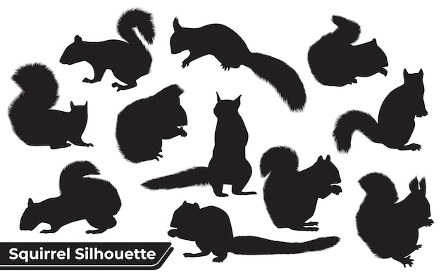 Verzameling van dierlijke eekhoorn silhouet vector
