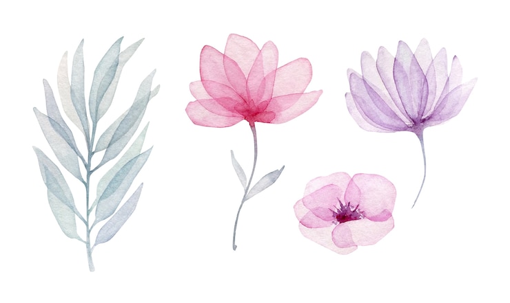 Vector verzameling van doorschijnende bloemen